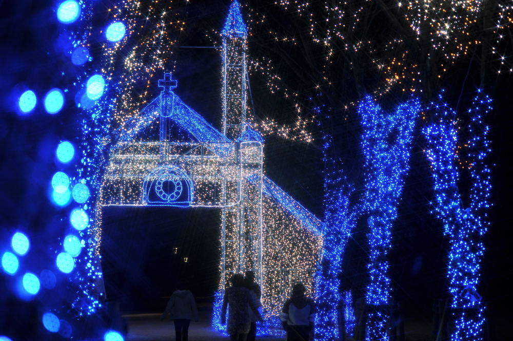 イルミに誘われて　12月22日