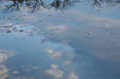 うつむいても空
