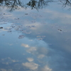 うつむいても空