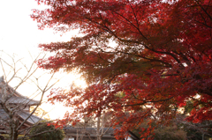 清水寺