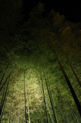 高台寺