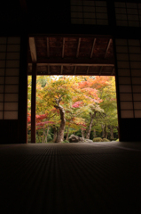 圓光寺