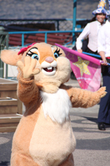 ミスバニー