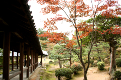 東福寺
