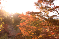 清水寺
