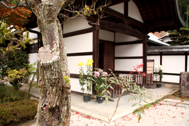 圓光寺