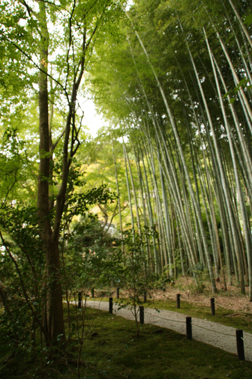 圓光寺