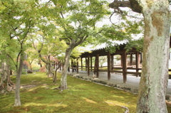 東福寺