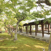 東福寺
