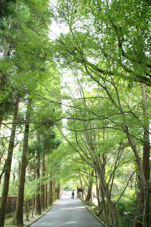 今熊野
