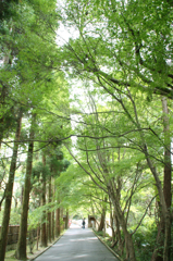 今熊野