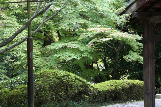 今熊野