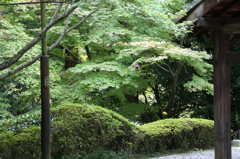 今熊野