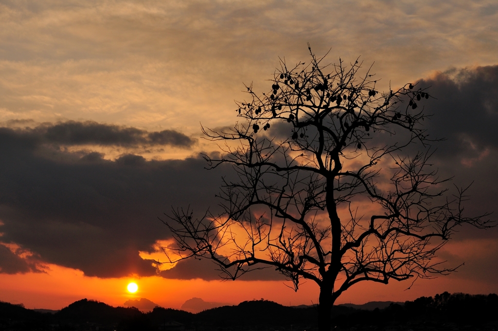 silhouette.