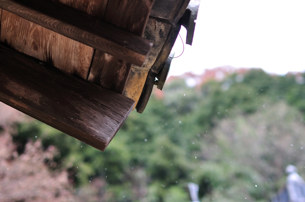 寒さをしのいで。。。