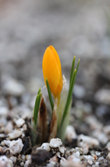 ちっちゃな息吹