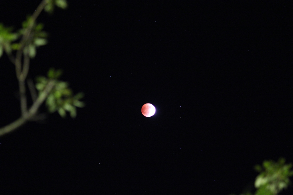 月のダイアモンドリング