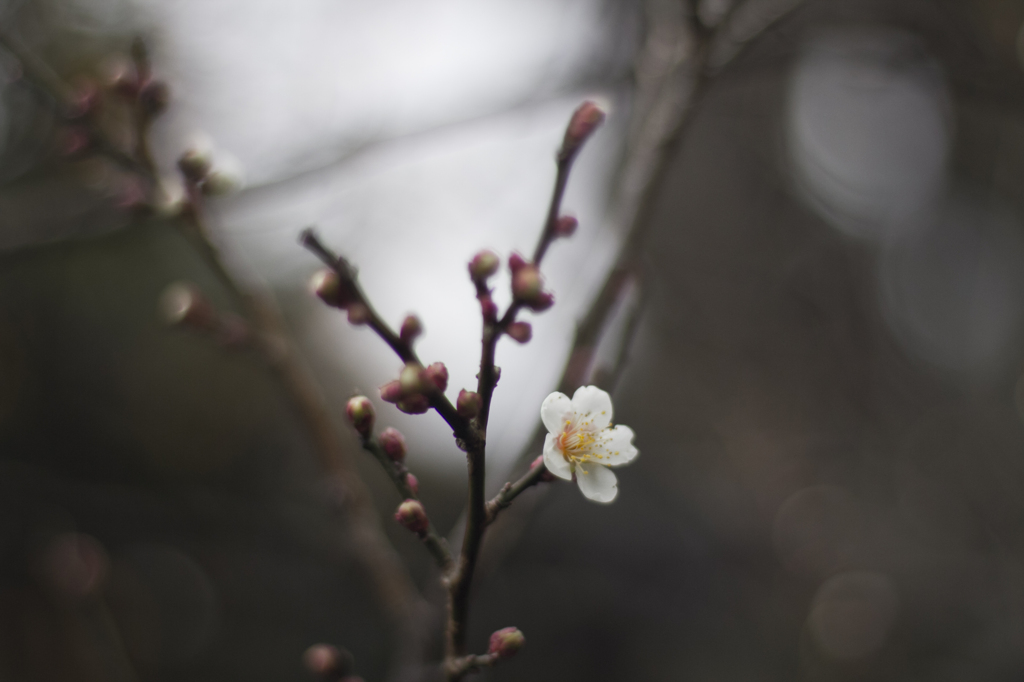 UNTITLED