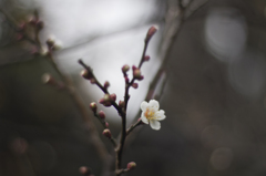 UNTITLED
