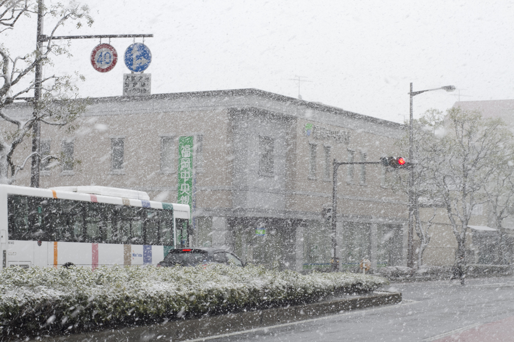雪の降る街で