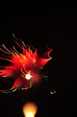 花火　＃ 7