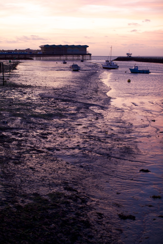 Soft Mud and Beachside