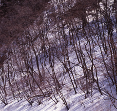 94-2-20松原湖高原