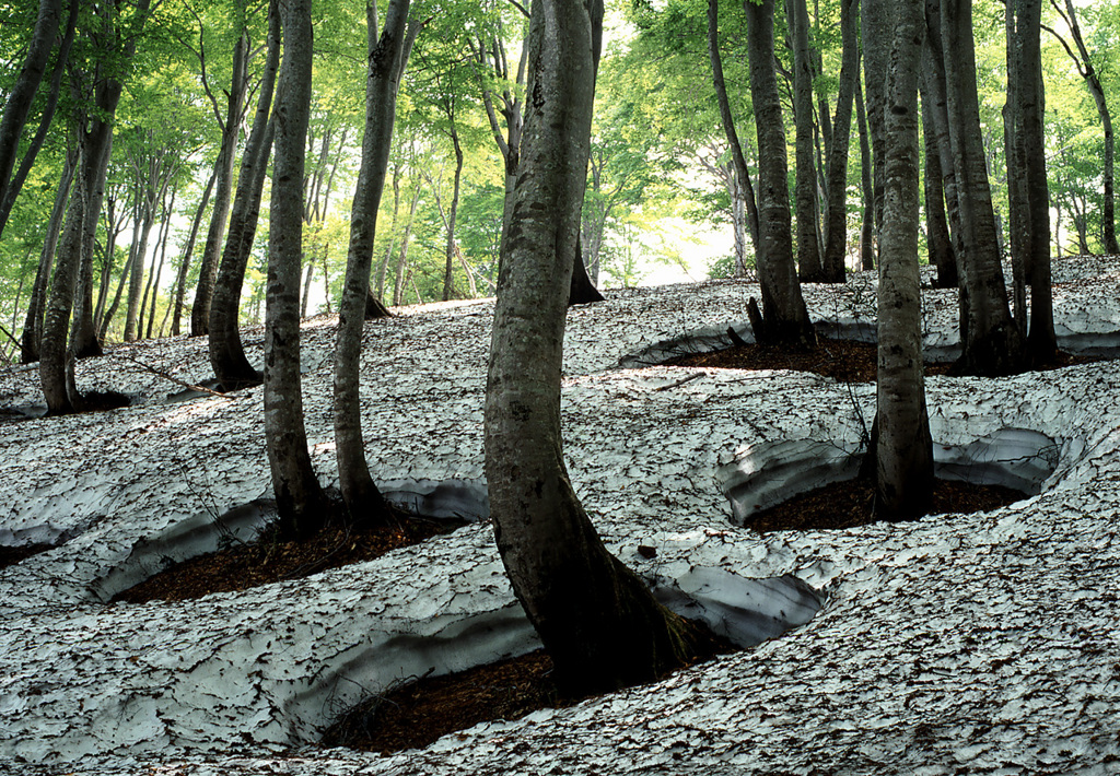 2003-5-30-鍋倉山2
