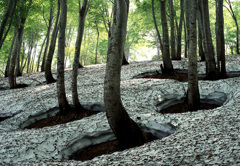 2003-5-30-鍋倉山2