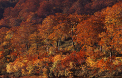 2000-10-16-栗駒山