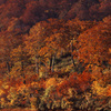 2000-10-16-栗駒山