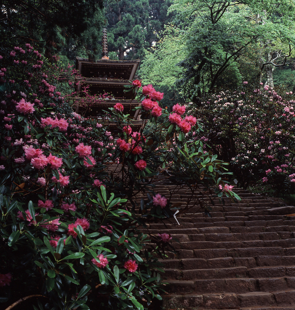 94-5-5室生寺