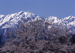 2004-4-20-小川村表立屋