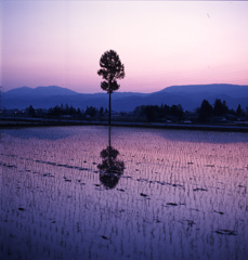 94-4-25大町