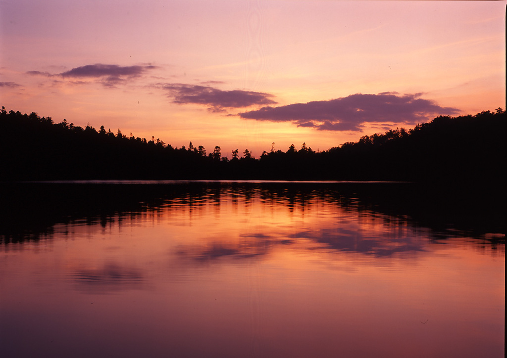 1995-6-12白駒の池