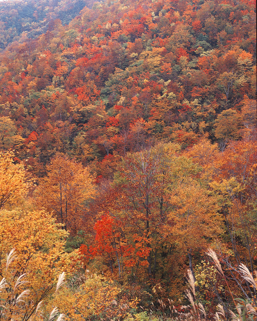 2002-10-16-雨飾り山