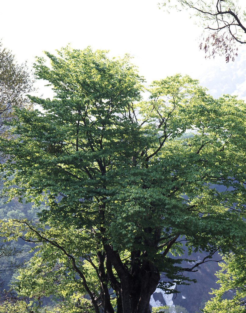 2003-5-14小谷温泉