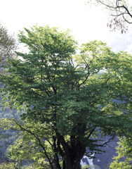 2003-5-14小谷温泉