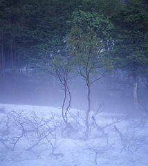 2003-5-15-1鎌池付近