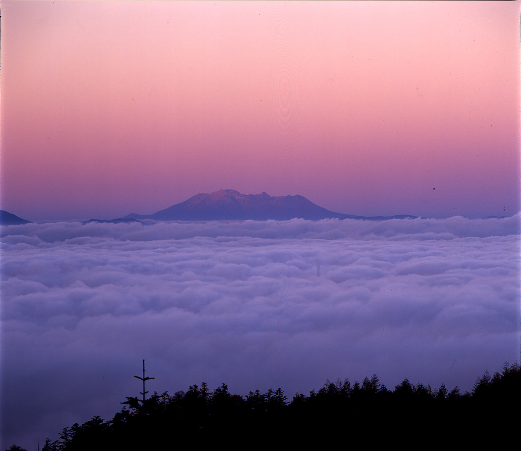 95-10-16霧ヶ峰