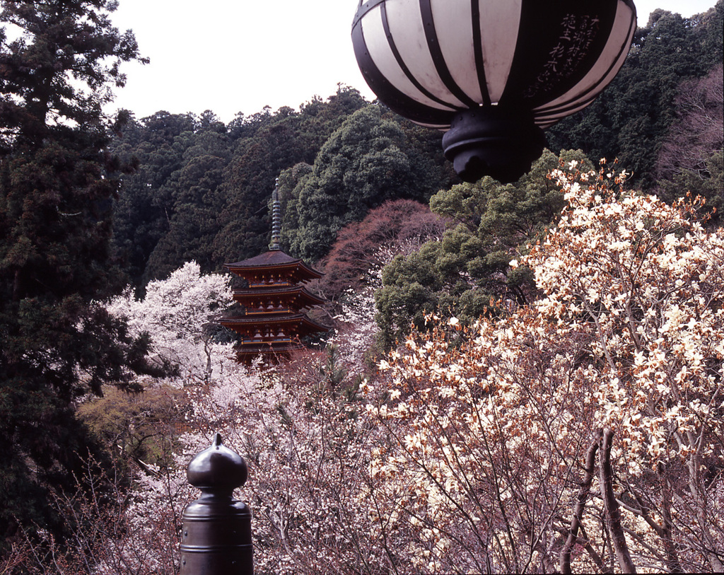 2004-4-10-長谷寺