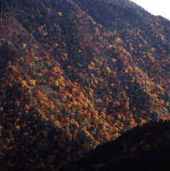 94-10-15阿房峠