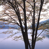 2003-5-17-青木湖