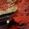 1999-11-20京都