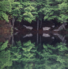 95-5-20鎌池