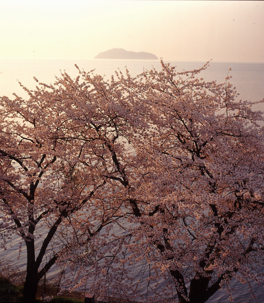 1996-4-14海津大崎