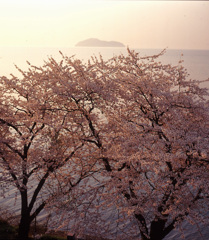 1996-4-14海津大崎