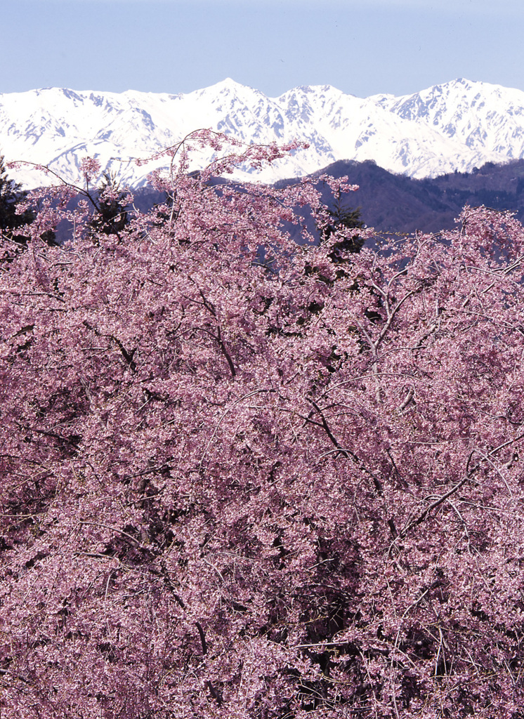 2004-4-20-小川村表立屋