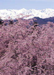 2004-4-20-小川村表立屋