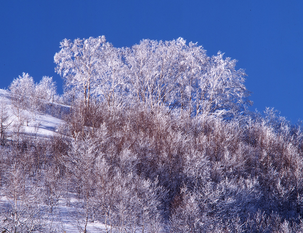 1996-12-10白樺高原